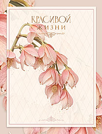 Красивой жизни