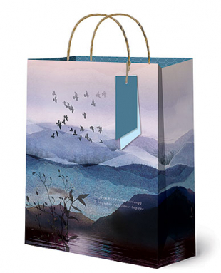 Подарочные сумки Lux